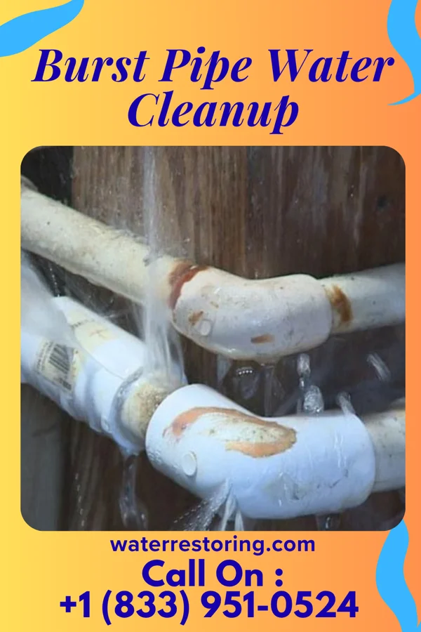 Burst Pipe Water Cleanup in Beaver Falls, PA
