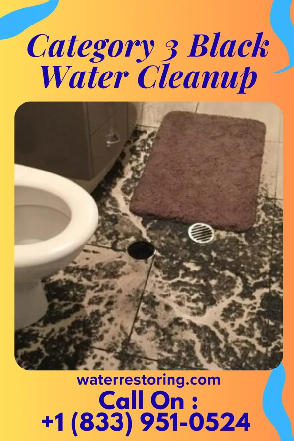 Category 3 Black Water Cleanup in Beaver Falls, PA
