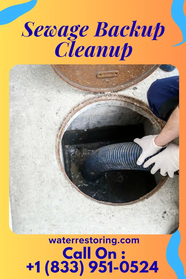 Sewage Backup Cleanup in Beaver Falls, PA