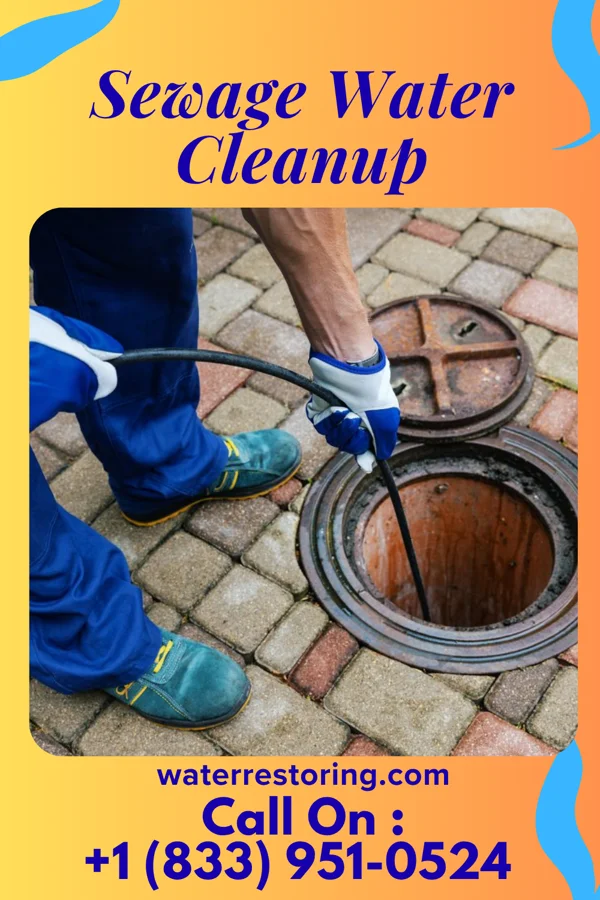 Sewage Water Cleanup in Beaver Falls, PA